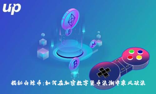 揭秘白鲸币：如何在加密数字货币浪潮中乘风破浪