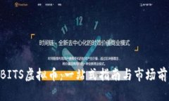 了解OBITS虚拟币：一站式指