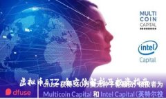 虚拟币ETZ：全方位解析及