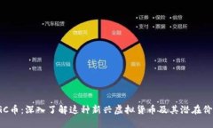 SGC币：深入了解这种新兴