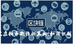 新加坡虚拟币欺诈的真相