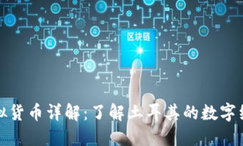 土耳其币虚拟货币详解：了解土耳其的数字经济发展趋势