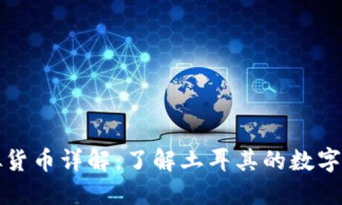 土耳其币虚拟货币详解：了解土耳其的数字经济发展趋势