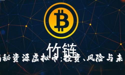 全面揭秘资源虚拟币：投资、风险与未来趋势