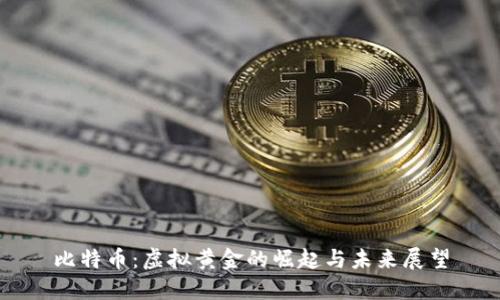 比特币：虚拟黄金的崛起与未来展望