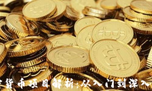 
区块链加密货币项目解析：从入门到深入的全面指导