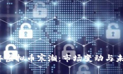 2023年虚拟币寒潮：市场变动与未来展望