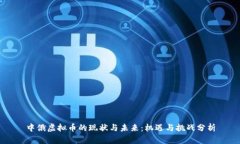 中俄虚拟币的现状与未来