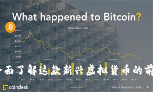 维利币：全面了解这款新兴虚拟货币的前景与风险