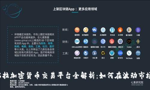  委内瑞拉加密货币交易平台全解析：如何在波动市场中获利