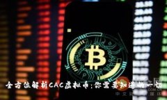 全方位解析CAC虚拟币：你