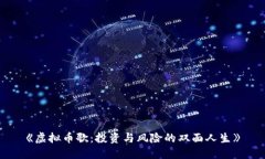 《虚拟币歌：投资与风险