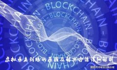 虚拟币未到账的原因及解