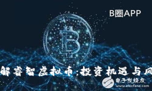 全面了解睿智虚拟币：投资机遇与风险分析
