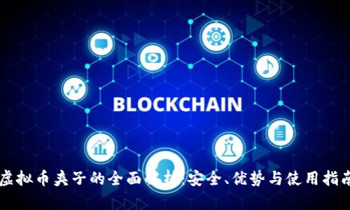 虚拟币夹子的全面解析：安全、优势与使用指南