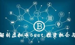 深入解析虚拟币Beet：投资