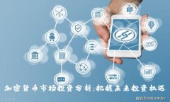 加密货币市场投资分析：