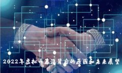 2022年虚拟币暴涨背后的原