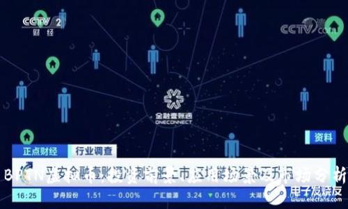 BPTN虚拟币：投资前景、应用场景及市场分析
