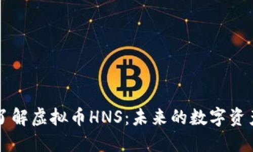 深入了解虚拟币HNS：未来的数字资产之王