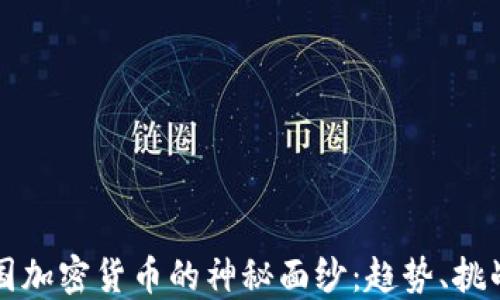 
揭开美国加密货币的神秘面纱：趋势、挑战与未来
