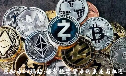 
虚拟币DV现场：解析数字货币的未来与机遇