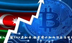 深入了解BHX虚拟币：投资