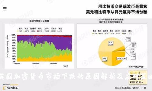 英国加密货币市场下跌的原因解析及应对策略