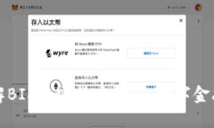 深入了解BIS加密货币：未