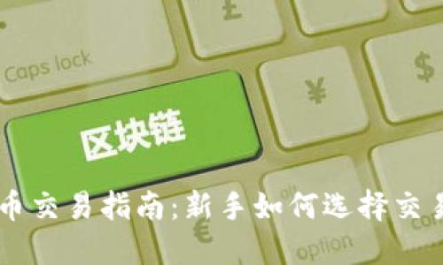 虚拟币交易指南：新手如何选择交易货币
