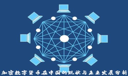 
加密数字货币在中国的现状与未来发展分析