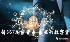 深入了解SBT加密货币：未