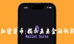 柬埔寨数字加密货币：揭