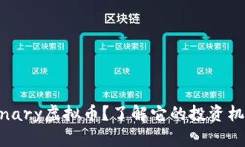 什么是Binary虚拟币？了解它的投资机会与风险