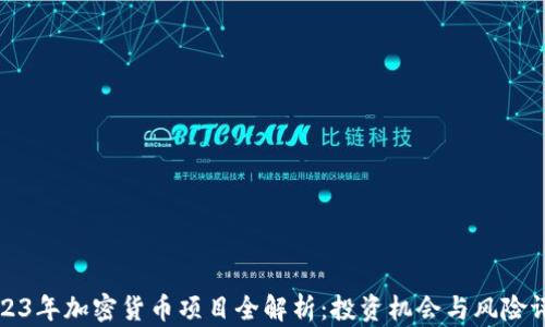 
2023年加密货币项目全解析：投资机会与风险评估