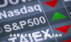 全面解析国产虚拟币：机