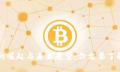 虚拟币的崛起与未来展望