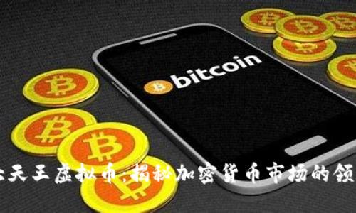四大天王虚拟币：揭秘加密货币市场的领军者