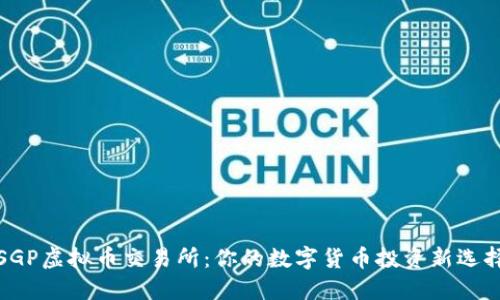 SGP虚拟币交易所：你的数字货币投资新选择