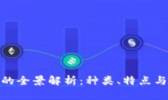 : 虚拟币的全景解析：种类