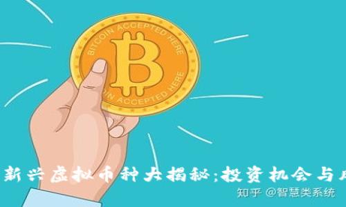 2023年新兴虚拟币种大揭秘：投资机会与风险分析