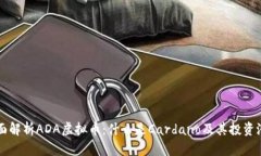 全面解析ADA虚拟币：什么