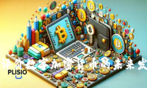 如何全面评价数字加密货币的未来发展与挑战
