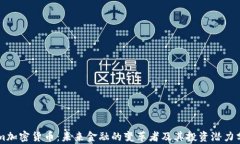 Tam加密货币：未来金融的