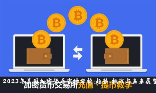  2023年美国加密货币市场分析：趋势、挑战与未来展望