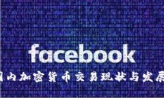 2023年国内加密货币交易现