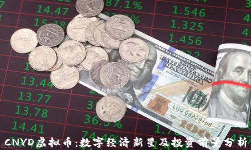 
CNYD虚拟币：数字经济新星及投资前景分析