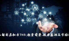 深入解析虚拟币TNB：投资
