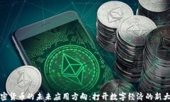 加密货币的未来应用方向