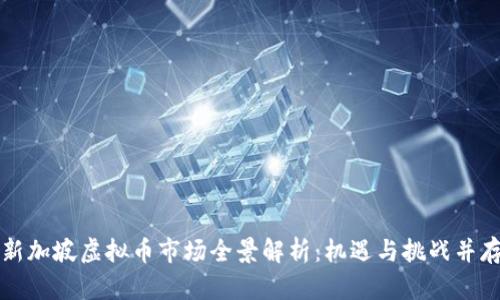 新加坡虚拟币市场全景解析：机遇与挑战并存